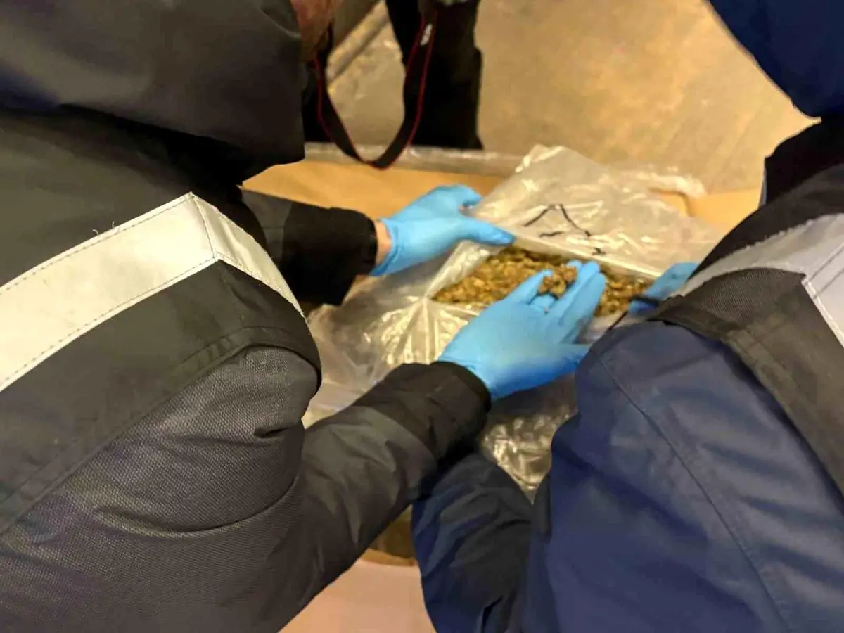 Kapak fotoğrafı: 659 kilogram uyuşturucu madde ele geçirildi