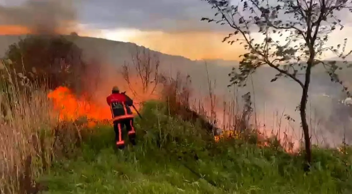 Elazığ'ın Kuşçu Köyünde Otluk Yangını Kontrol Altına Alındı