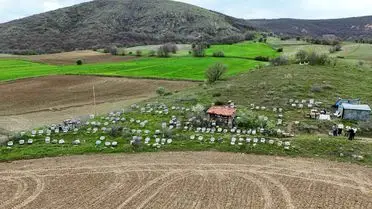 Yozgat'ta Arıcılıkta Yağışların Getirdiği Yeni Umutlar