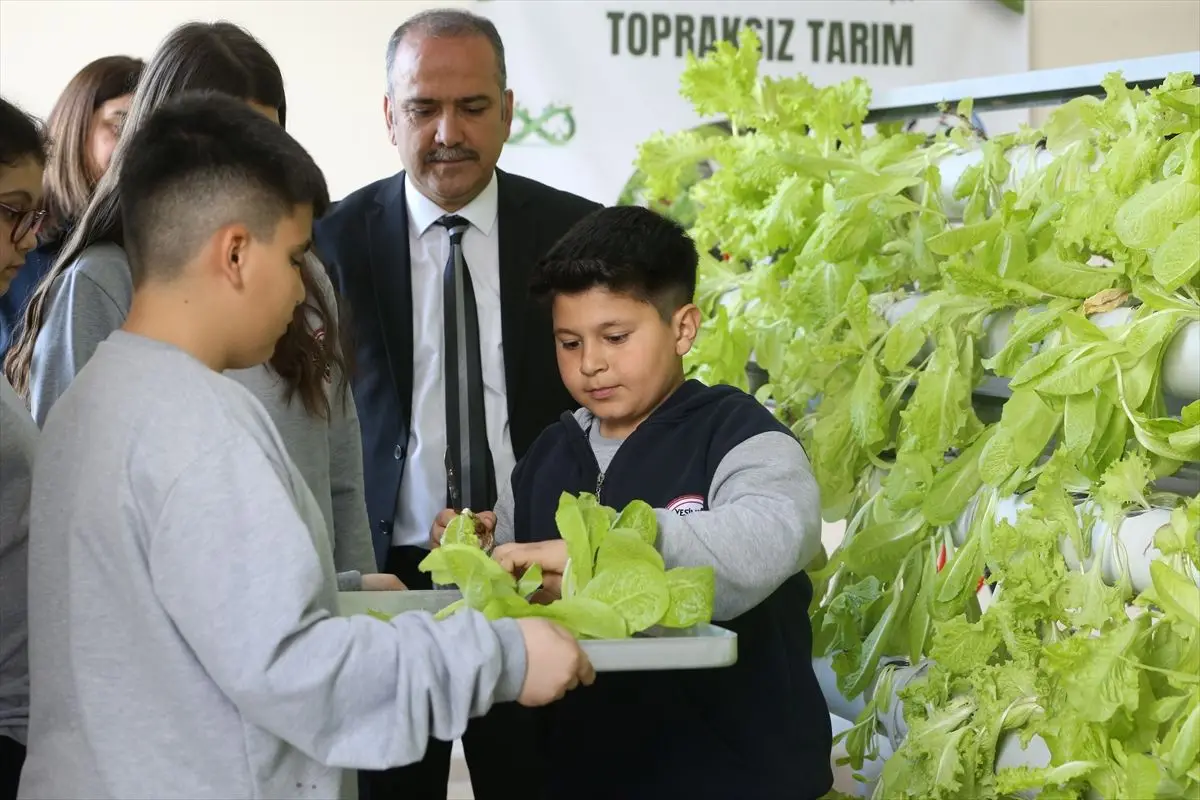 Dörtyol'da öğrenci hidroponik bahçesi