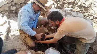 2200 Yıllık Tarım Yazıtı: Amos Antik Kenti'nde Bağcılık ve İncir Yetiştiriciliğinin Kuralları Ortaya Çıktı