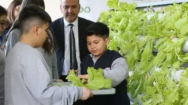 Dörtyol'da Gençler Hidroponik Yöntemiyle Marul ve Çilek Üretiyor