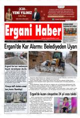 ERGANİ HABER