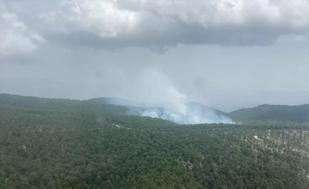 Aydın’ın Bozdoğan İlçesinde Orman Yangını Söndürüldü