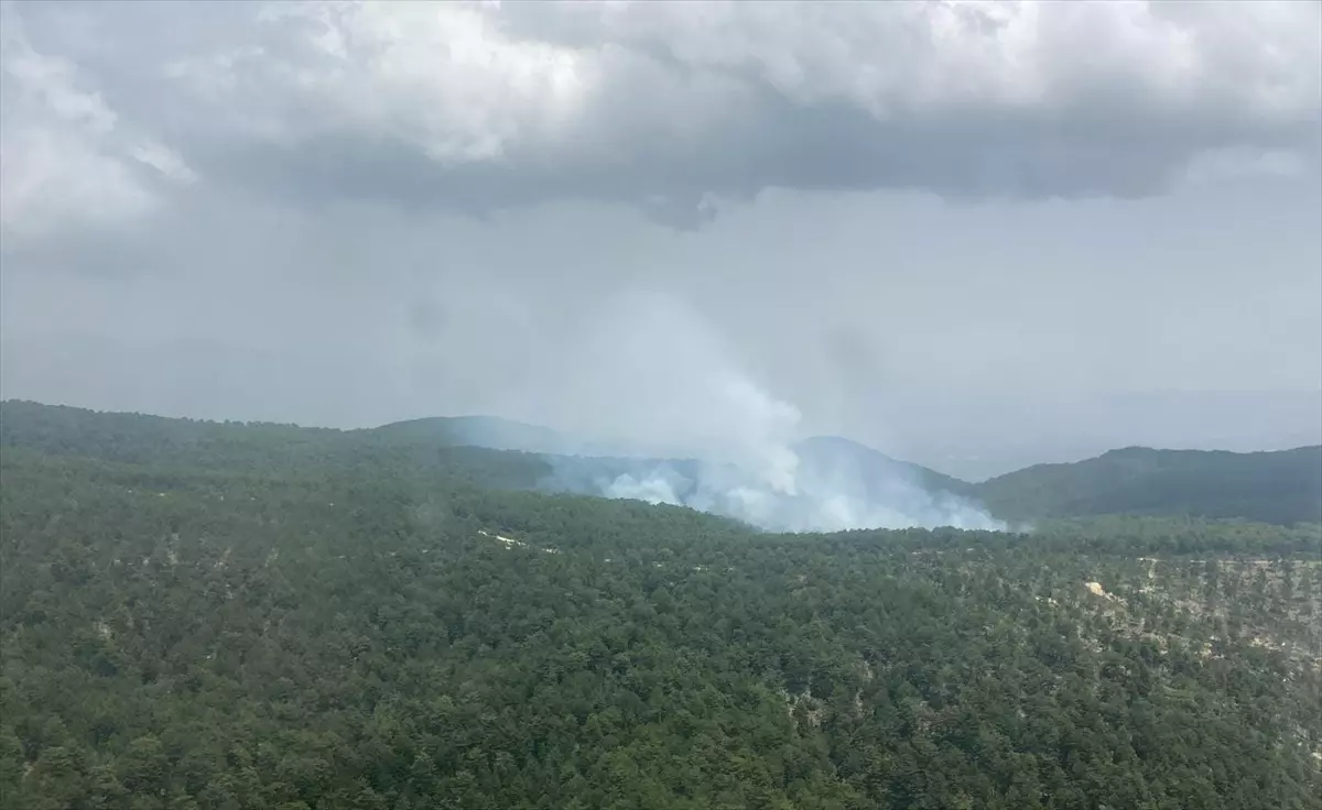 Aydın’ın Bozdoğan İlçesinde Orman Yangını Söndürüldü