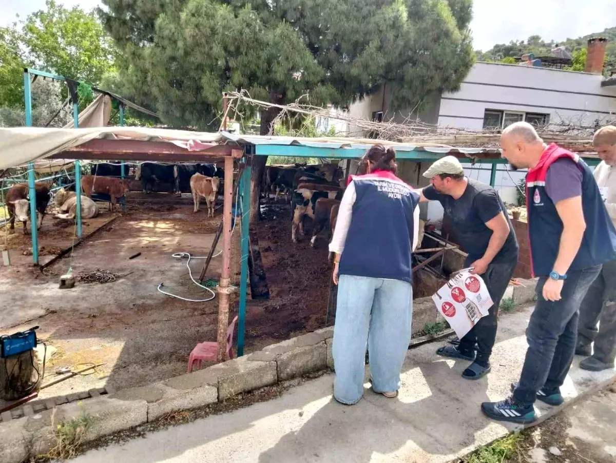 Aydın’da Kurban Satış ve Kesim Yerleri Denetlendi