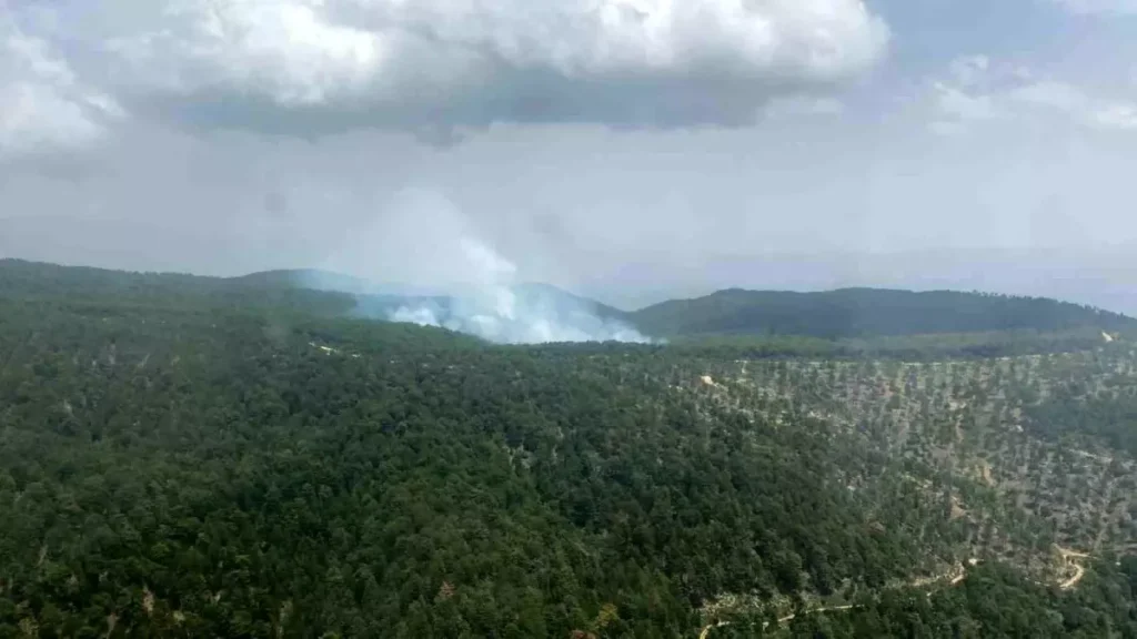 Aydın’da Karıncalı Dağı’nda Orman Yangını