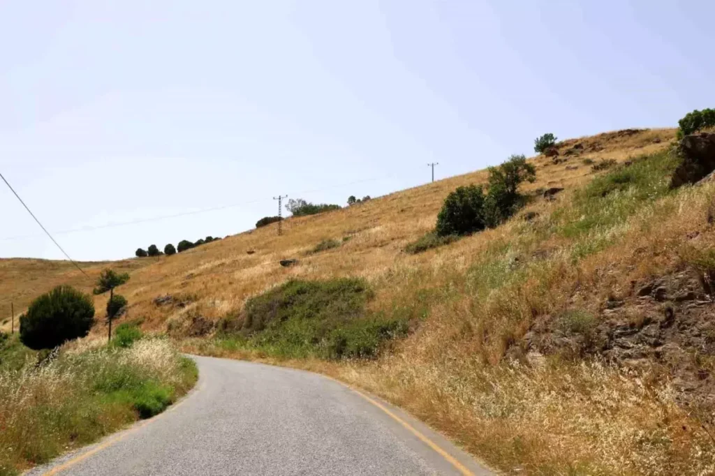 Hayvancılık Merkezinde Meralar Boş Kaldı