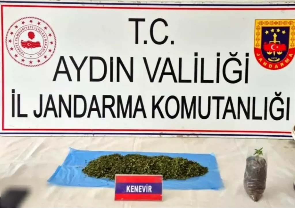 Uyuşturucu Operasyonu: Aydın’da 36 Şüpheli Yakalandı