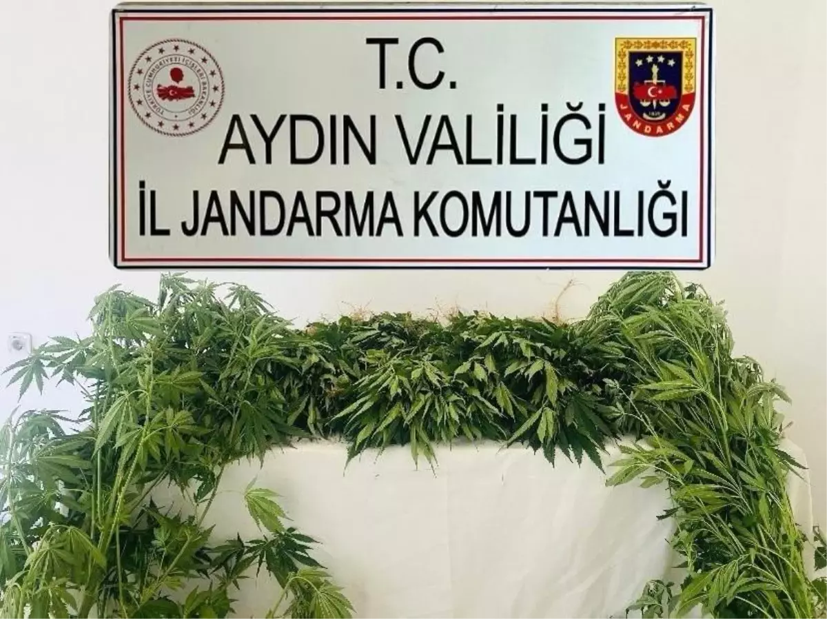 Uyuşturucuyla Mücadelede Jandarma Ekiplerinin Kararlılığı