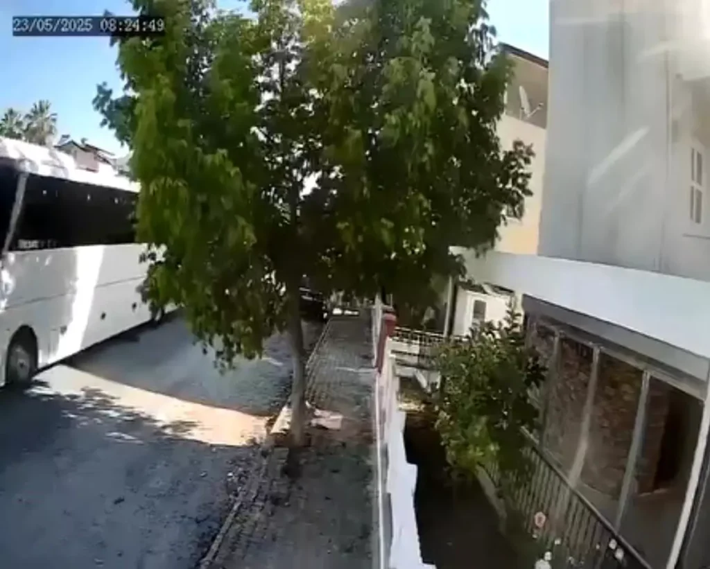 Tur Otobüsü Şoförü Sokak Köpeğini Ezdi