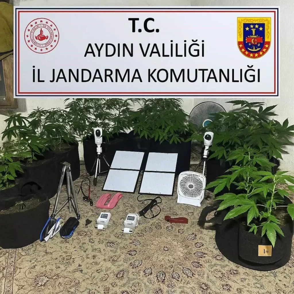 Üniversite Öğrencisinin Uyuşturucu Planı Bozalandı