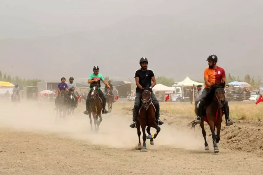 **Rahvan At Yarışları Yenipazar’ı Coşturdu**