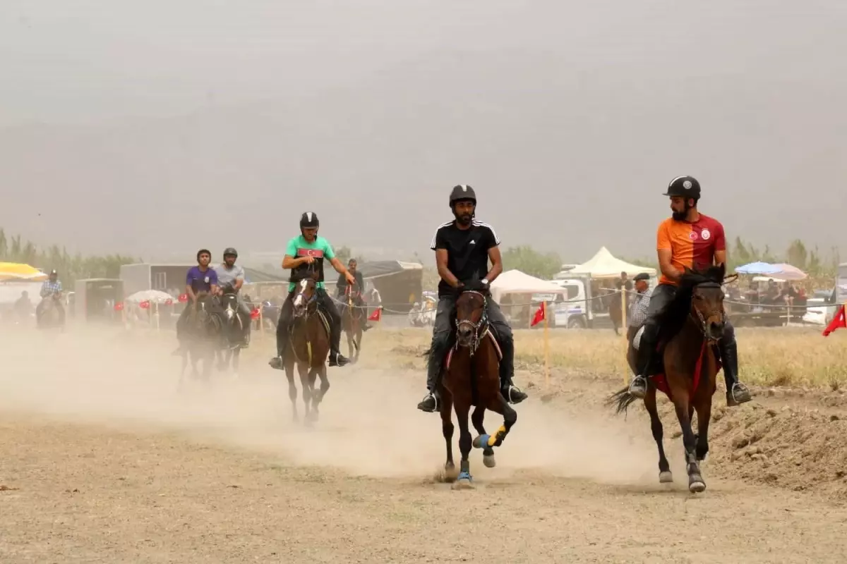 **Rahvan At Yarışları Yenipazar’ı Coşturdu**