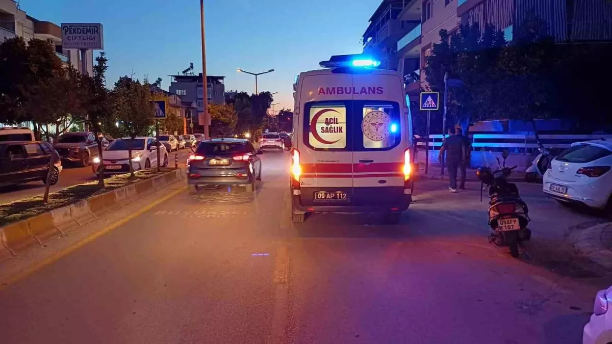 Kedinin Ani Hareketi Sürücüyü Yola Düşürdü