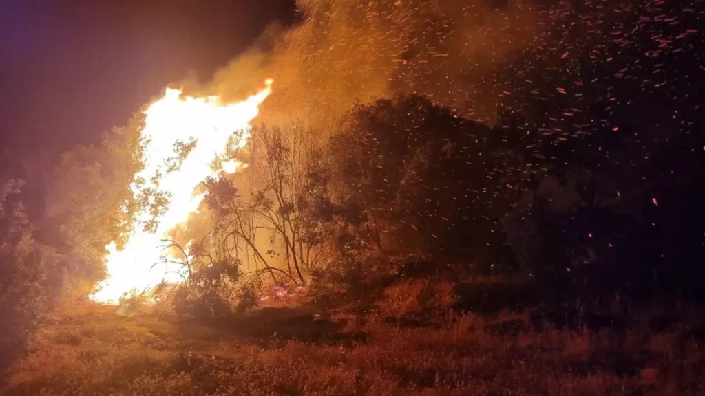 Ekipler Yangınla Karadan Mücadelede