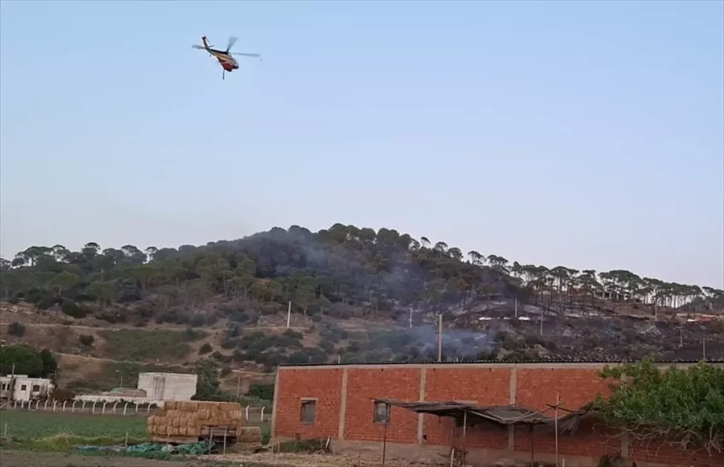 Aydın’da Çam Fıstığı Yangını: 2 Hektarlık Alan Zarar Gördü