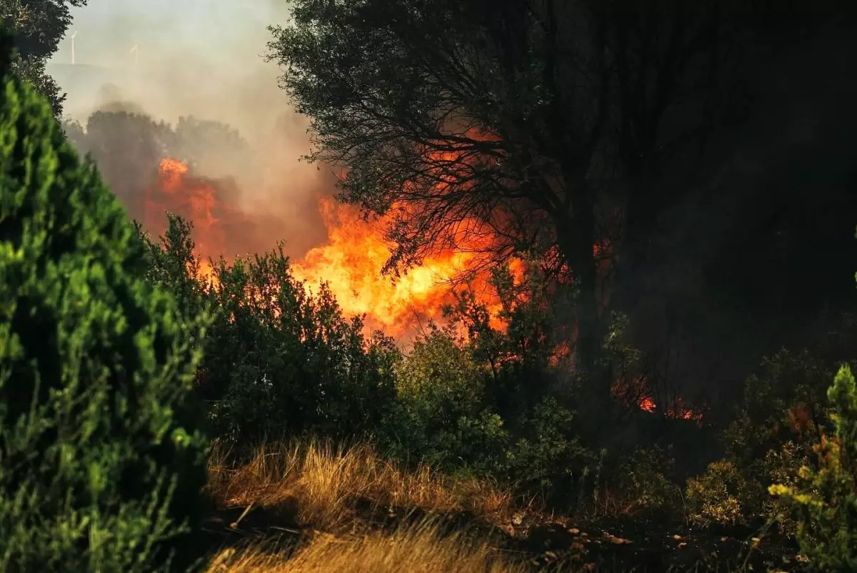 “Hava Sıcaklığı Artıyor: Çiftçilere Yangın Uyarısı”