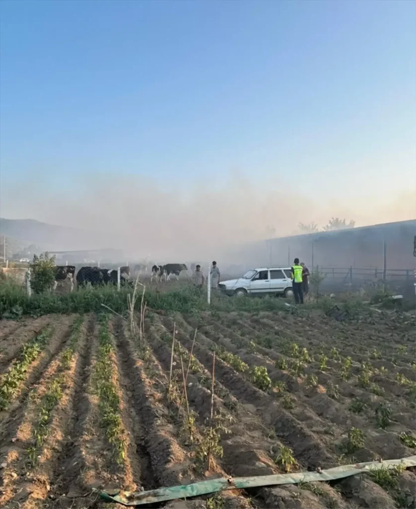 Aydın’da Hayvan Çiftliğinde Yangın: 4 Hayvan Telef Oldu