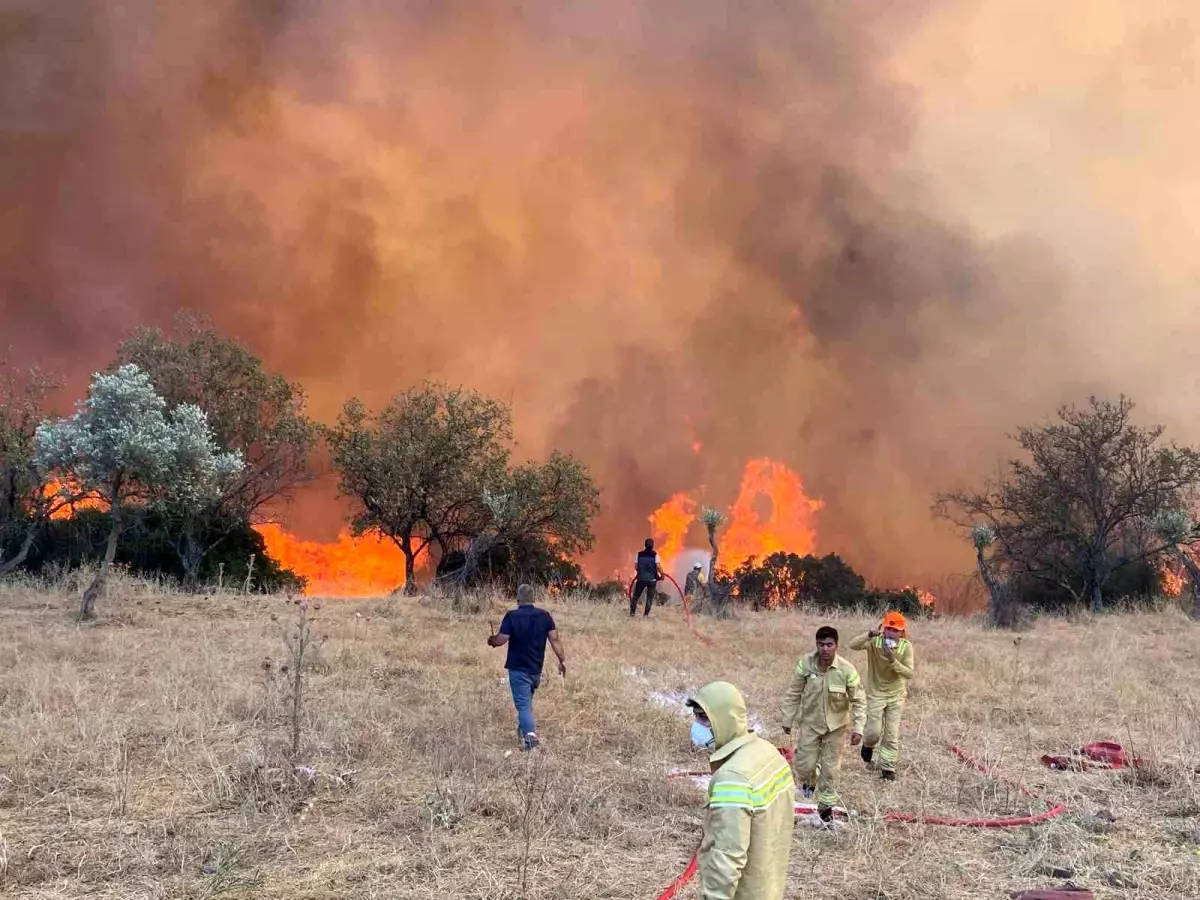 Aydın’da Hafta Sonu 11 Yangın Çıktı