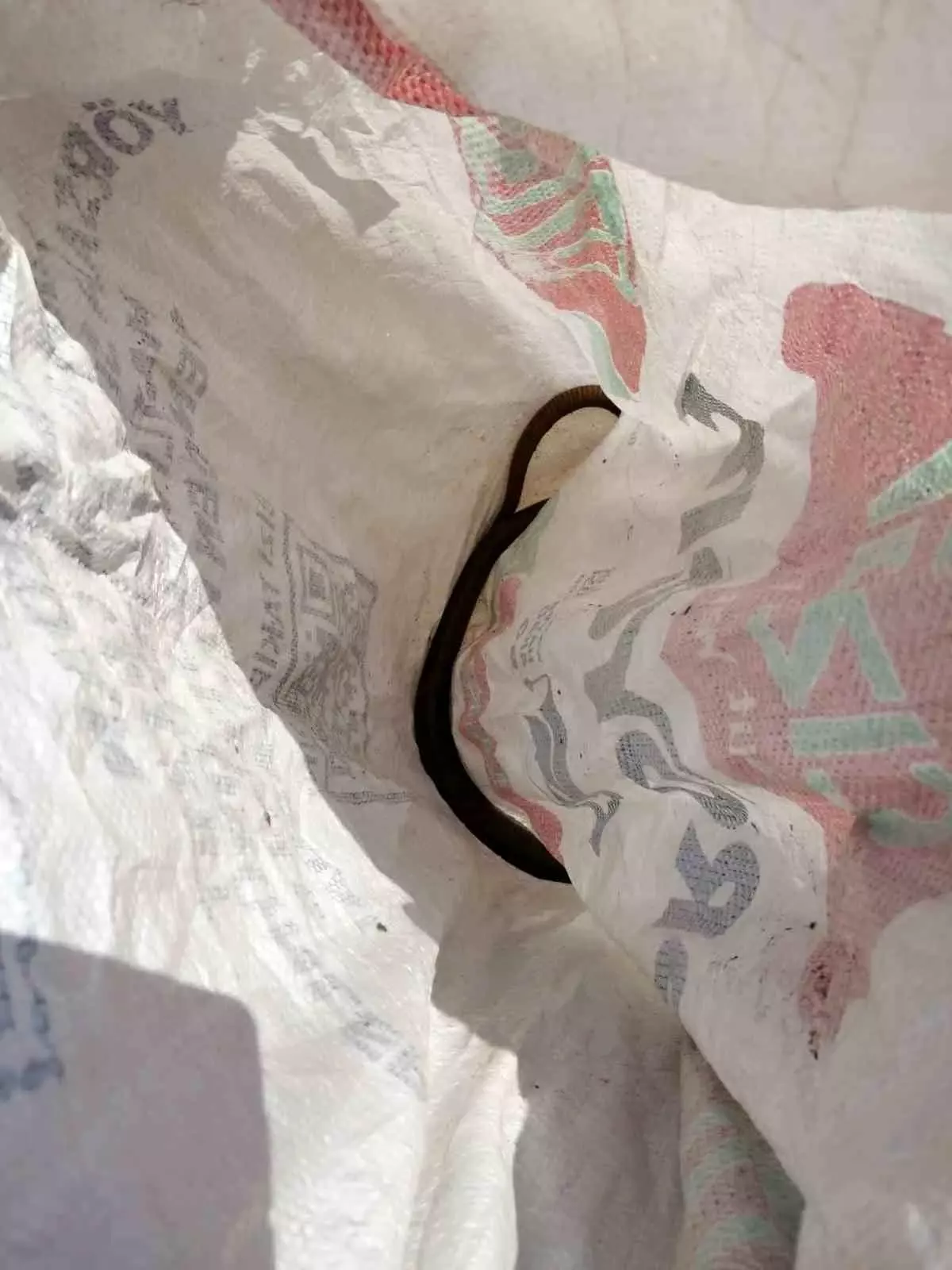 İtfaiyeden Yılan Operasyonu