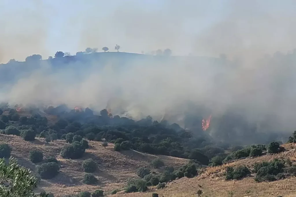Aydın’da Orman Yangını: 3 Kişi Hastanelik Oldu