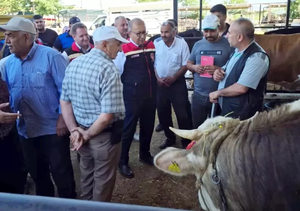 Aydın’da Kurban Satış Yerleri Denetleniyor