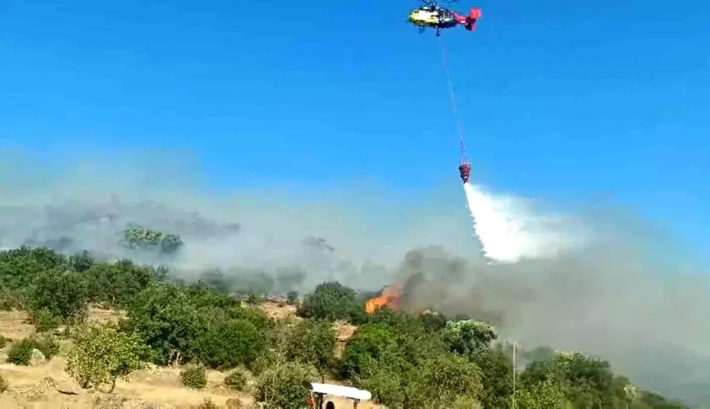 Aydın’ın Bozdoğan İlçesinde Makilik Yangını Kontrol Altına Alındı
