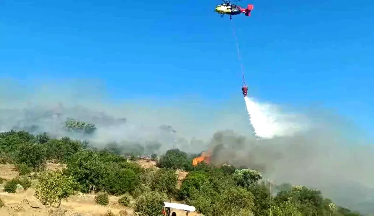 Aydın’ın Bozdoğan İlçesinde Makilik Yangını Kontrol Altına Alındı