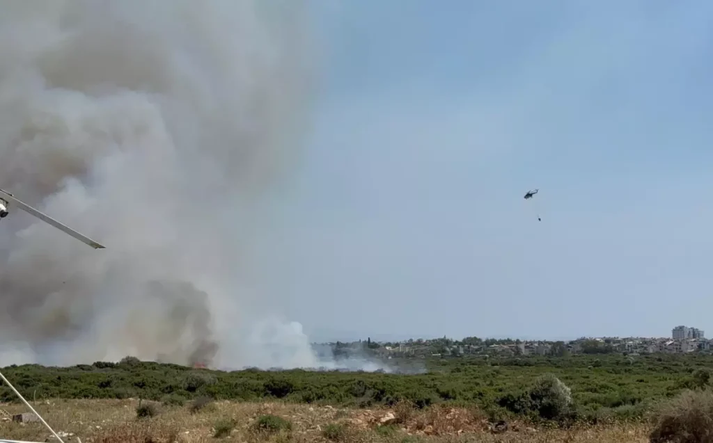 Aydın Didim’de Makilik Yangını