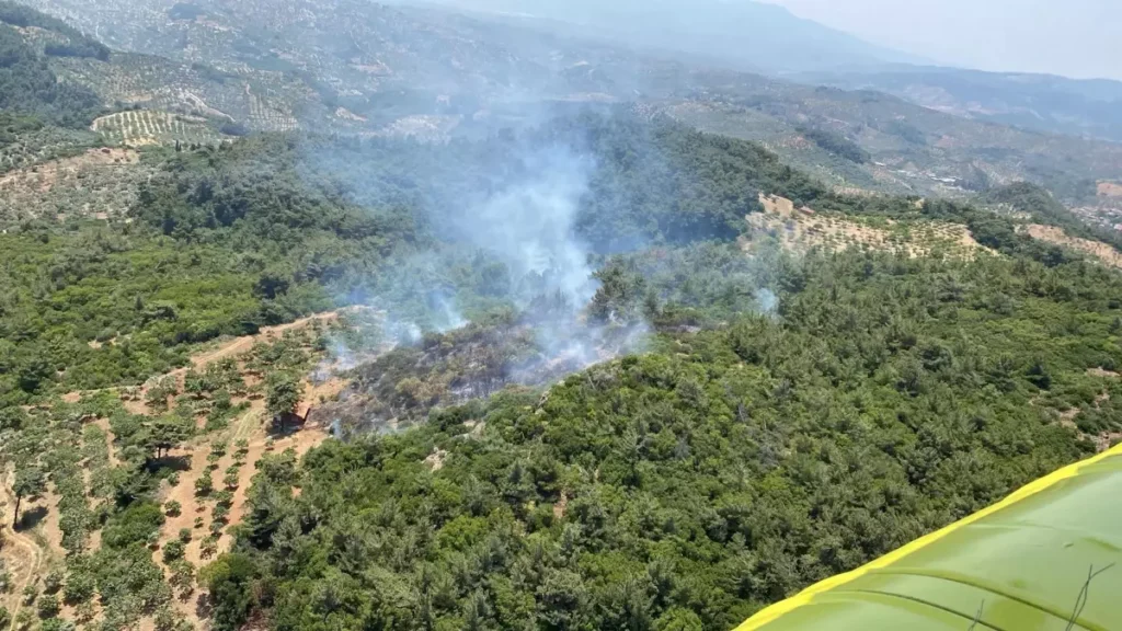 Aydın’da Kıyasıya Orman Yangını