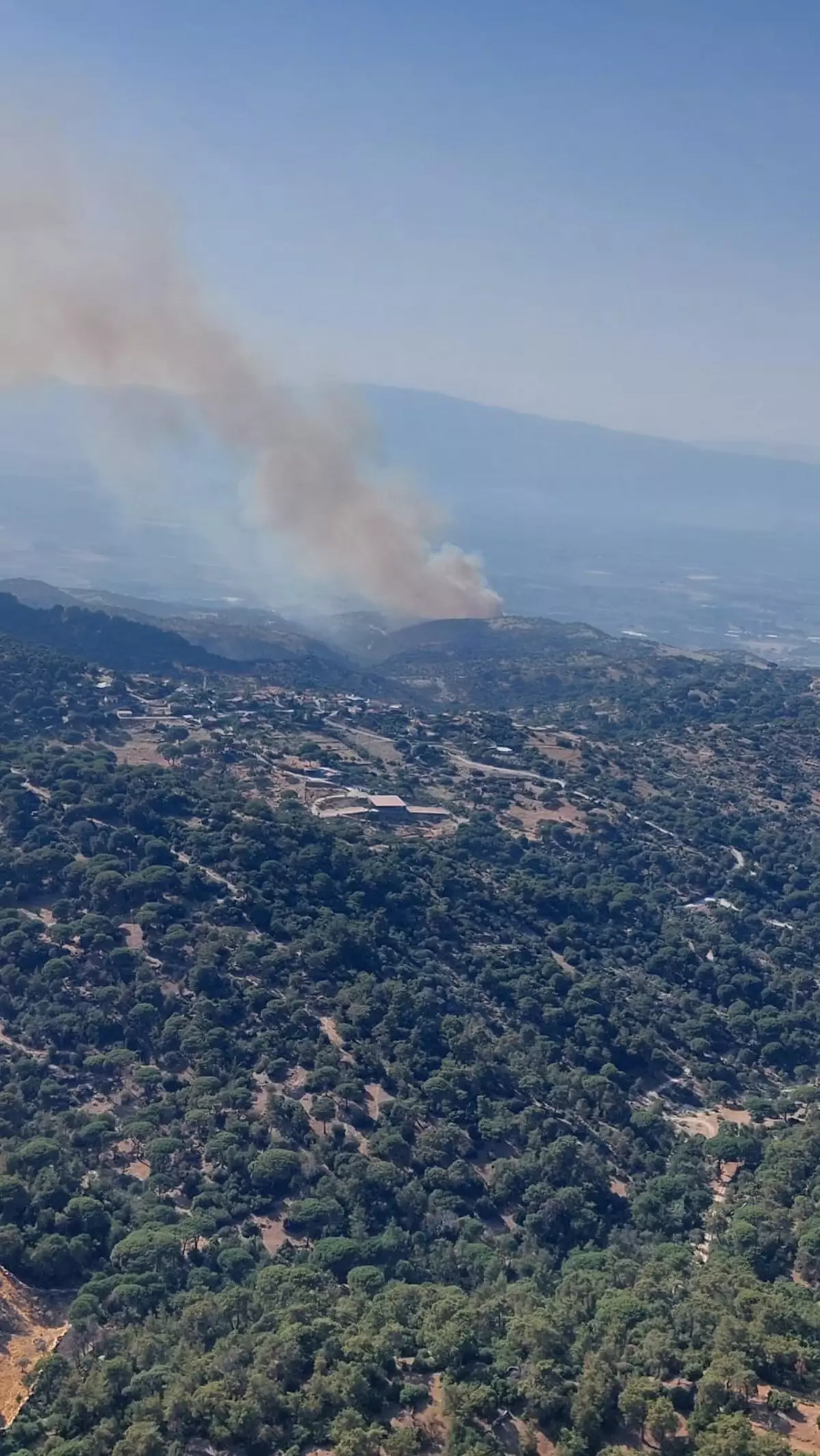 Aydın’da Tarım Arazisinden Ormana Sıçrayan Yangın