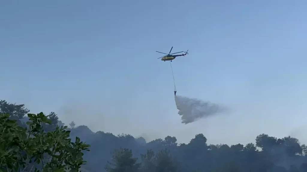 Aydın’da Ormana Yangını Kontrol Altına Alındı