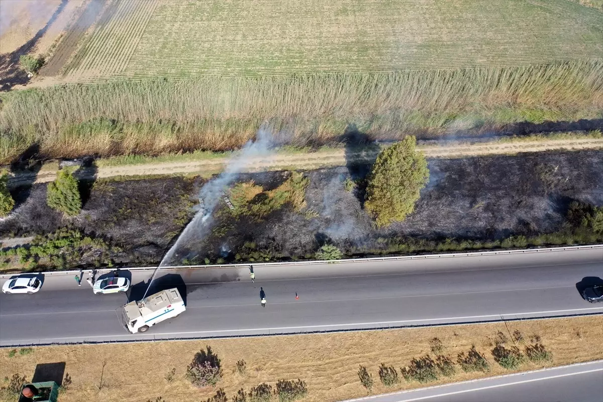 Aydın’da Sazlık Yangını: Arılar Telef Oldu