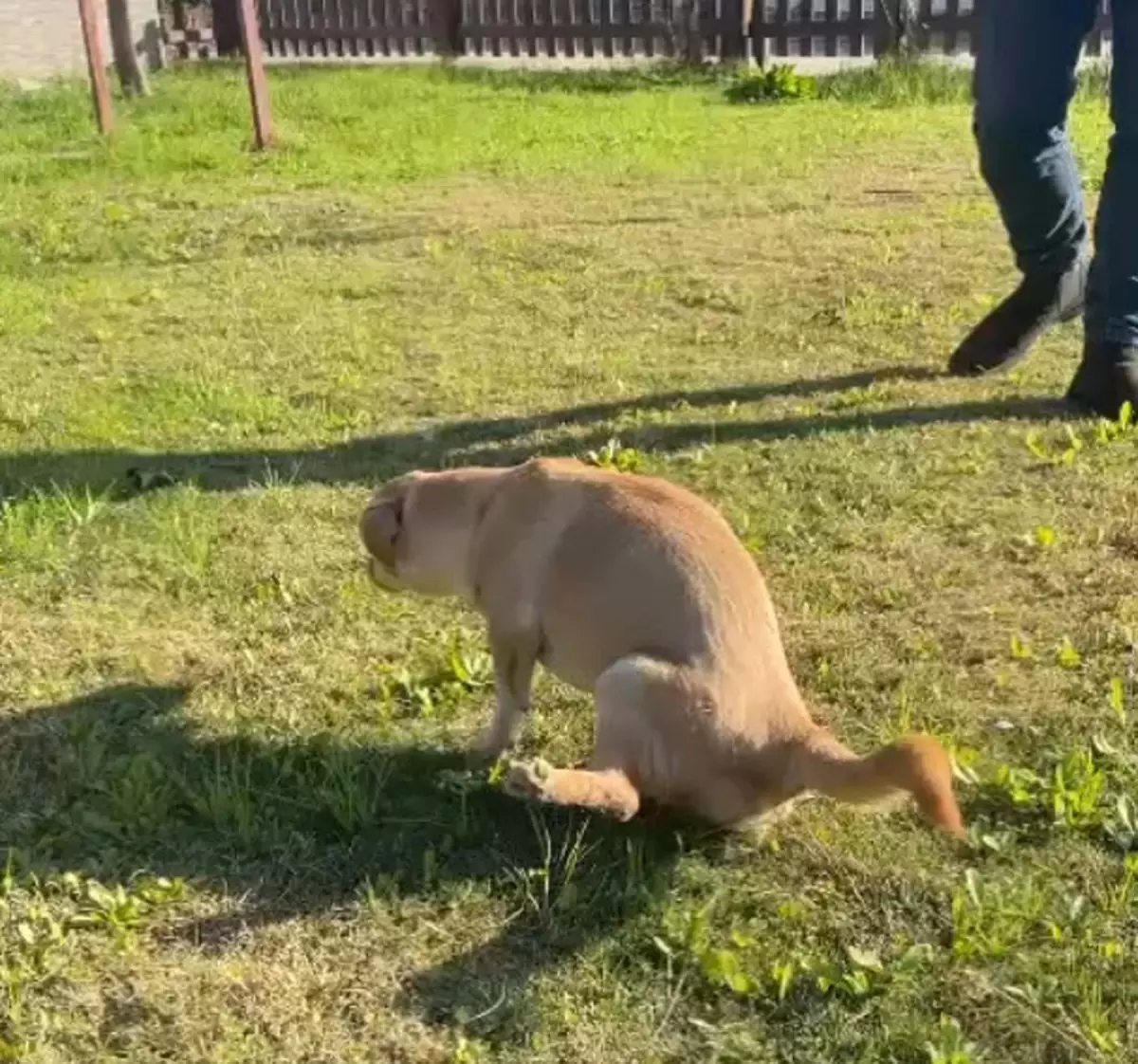 Kırılan Hayat Yeniden Doğdu