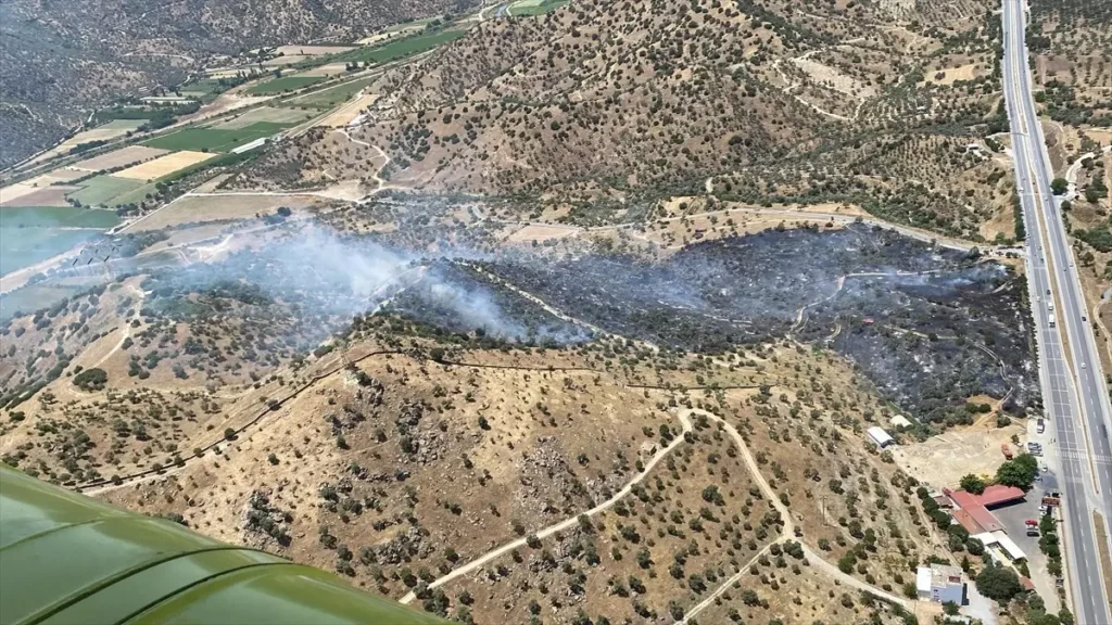 Aydın’da Zeytinlik Yangını Kontrol Altına Alındı