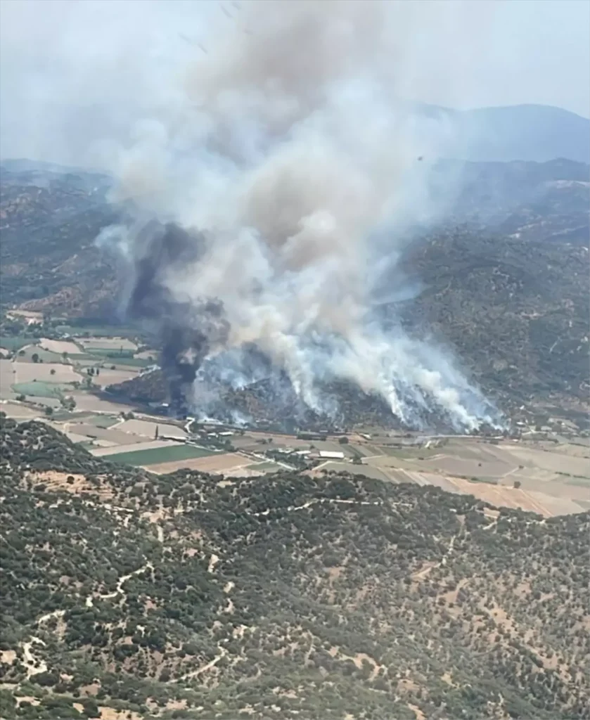 Söke’de Zeytinlik Alan Yangını Kontrol Altında
