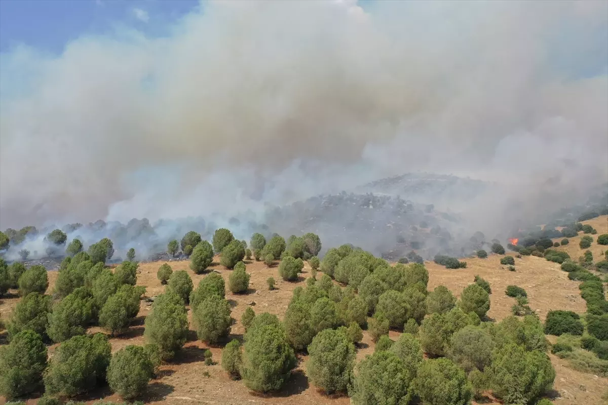 Aydın Efeler’de Ziraat Alanı ve Makilik Yangını