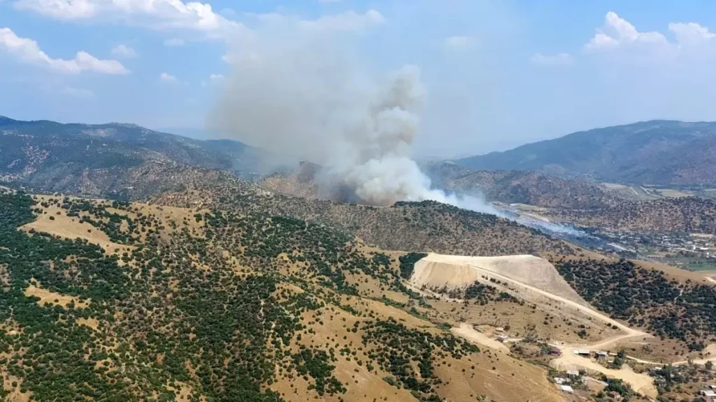 Aydın’da Zirai Alan Yangınına Karşı Söndürme Çalışmaları