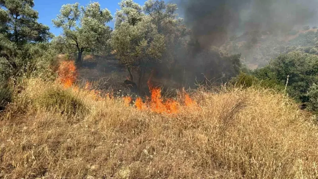 Aydın’da Zirai Alanda Yangın: Ekipler Çalışıyor