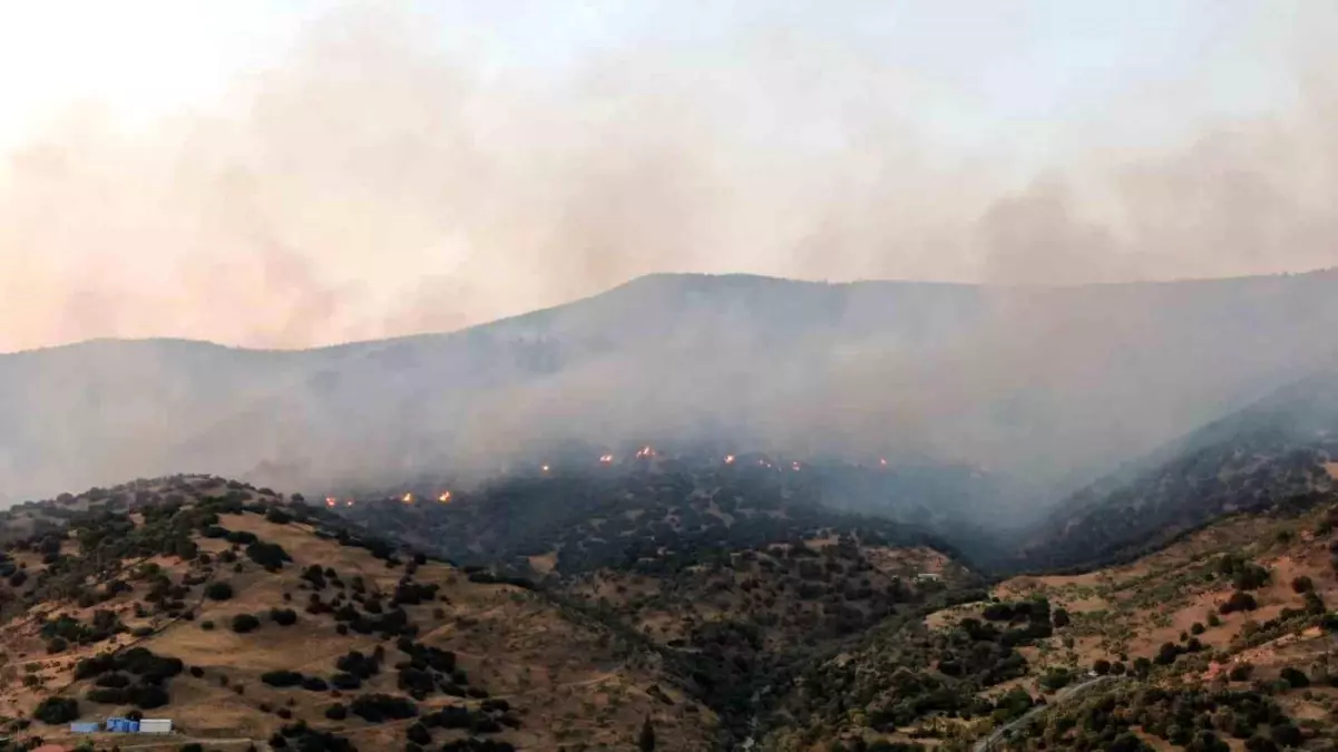 Aydın Efeler’de Tarım Arazisinden Orman Yangını