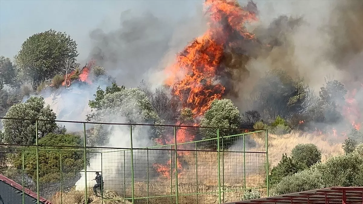 Aydın’da Üç İlçede Yangınlar Kontrol Altına Alındı