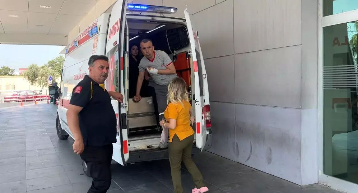 Acemi Kasap Bilançosu: 460 Kişi Hastanelik Oldu