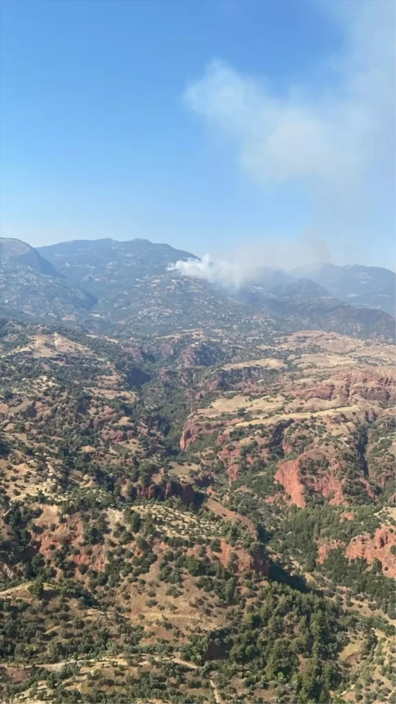 Aydın’da Çam ve Zeytinlik Alanlarda Yangınla Mücadele