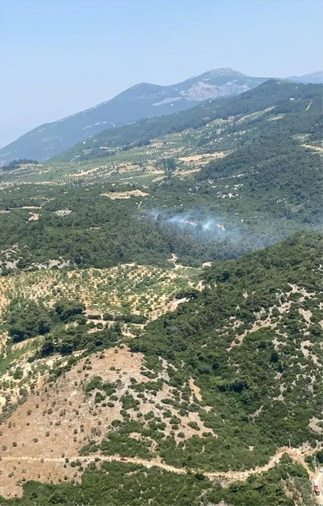 Aydın’da Kıyasıya Orman Yangını Mücadelesi