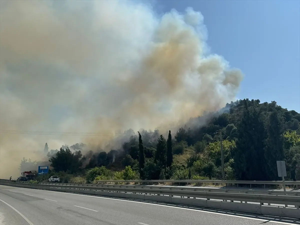 Aydın’da Tarım Yangınları Söndürülmeye Çalışılıyor