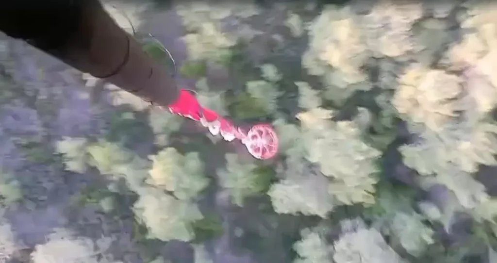 Ekipler Yangınları Kısa Sürede Kontrol Altına Aldı