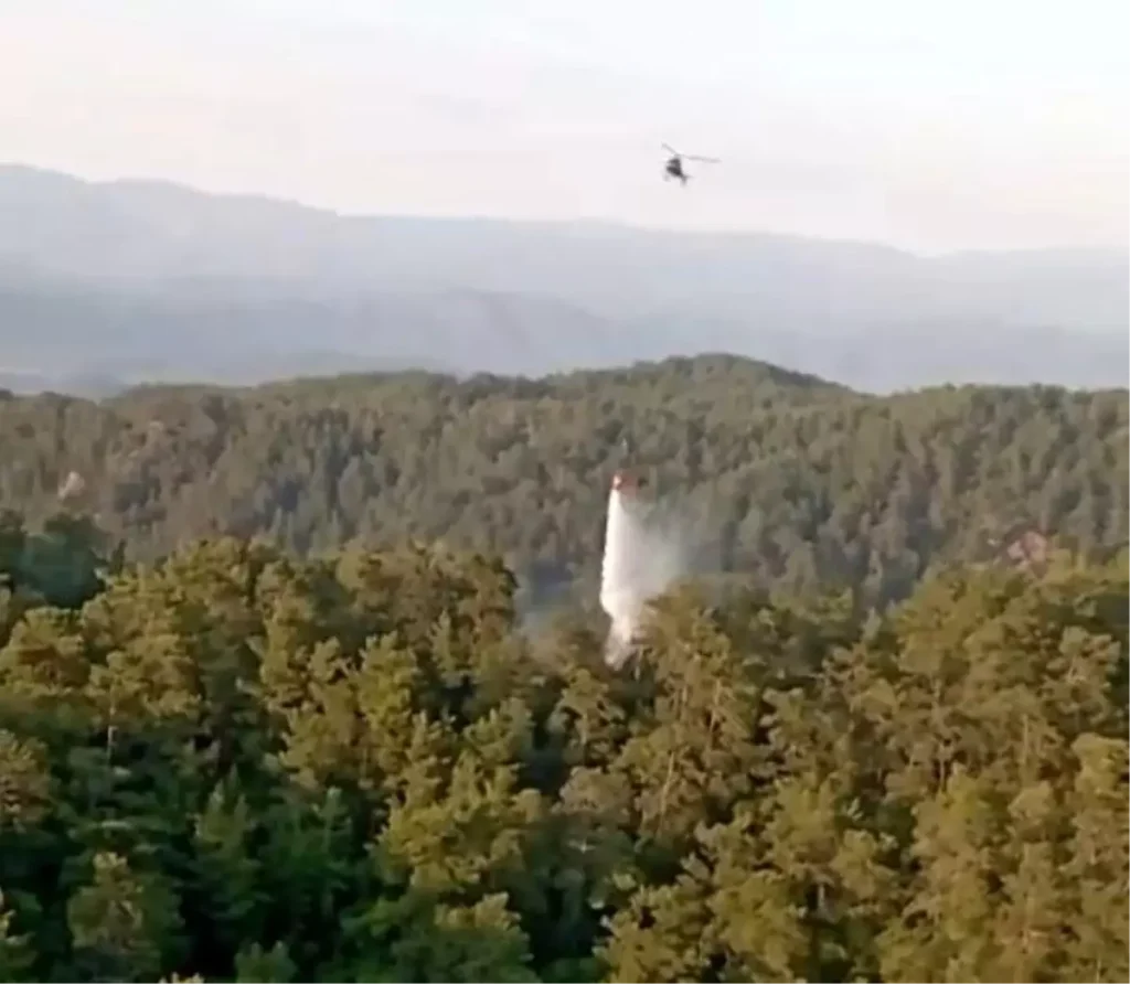 Hızlı Müdahale ile Orman Yangınları Kontrol Altına Alındı