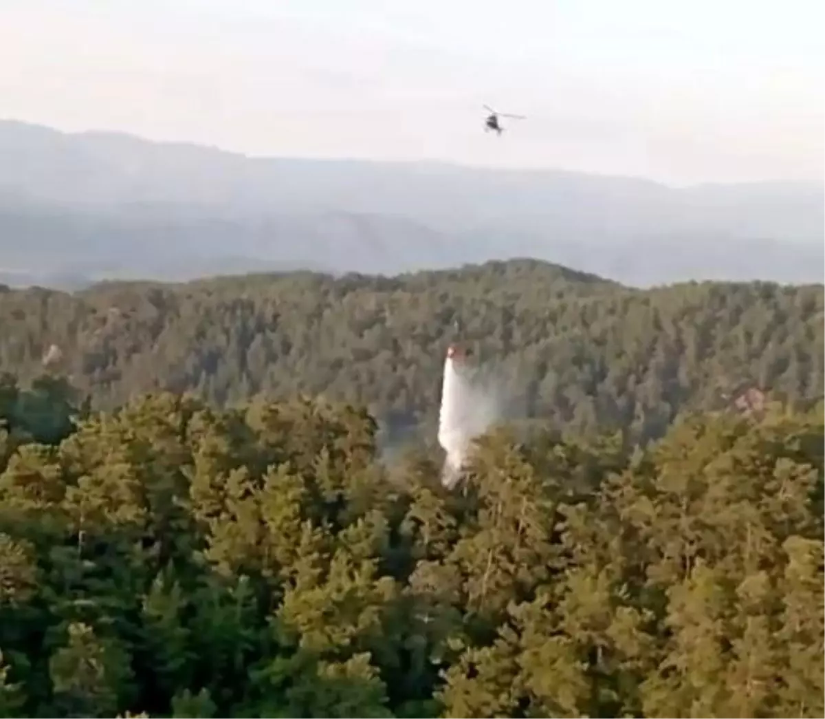 Hızlı Müdahale ile Orman Yangınları Kontrol Altına Alındı