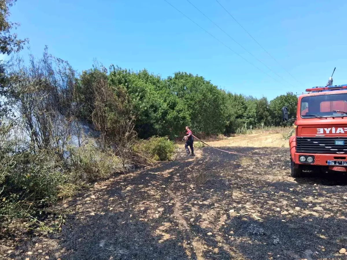 Aydın’da Arazi Yangını: Incir Ağaçları Zarar Gördü